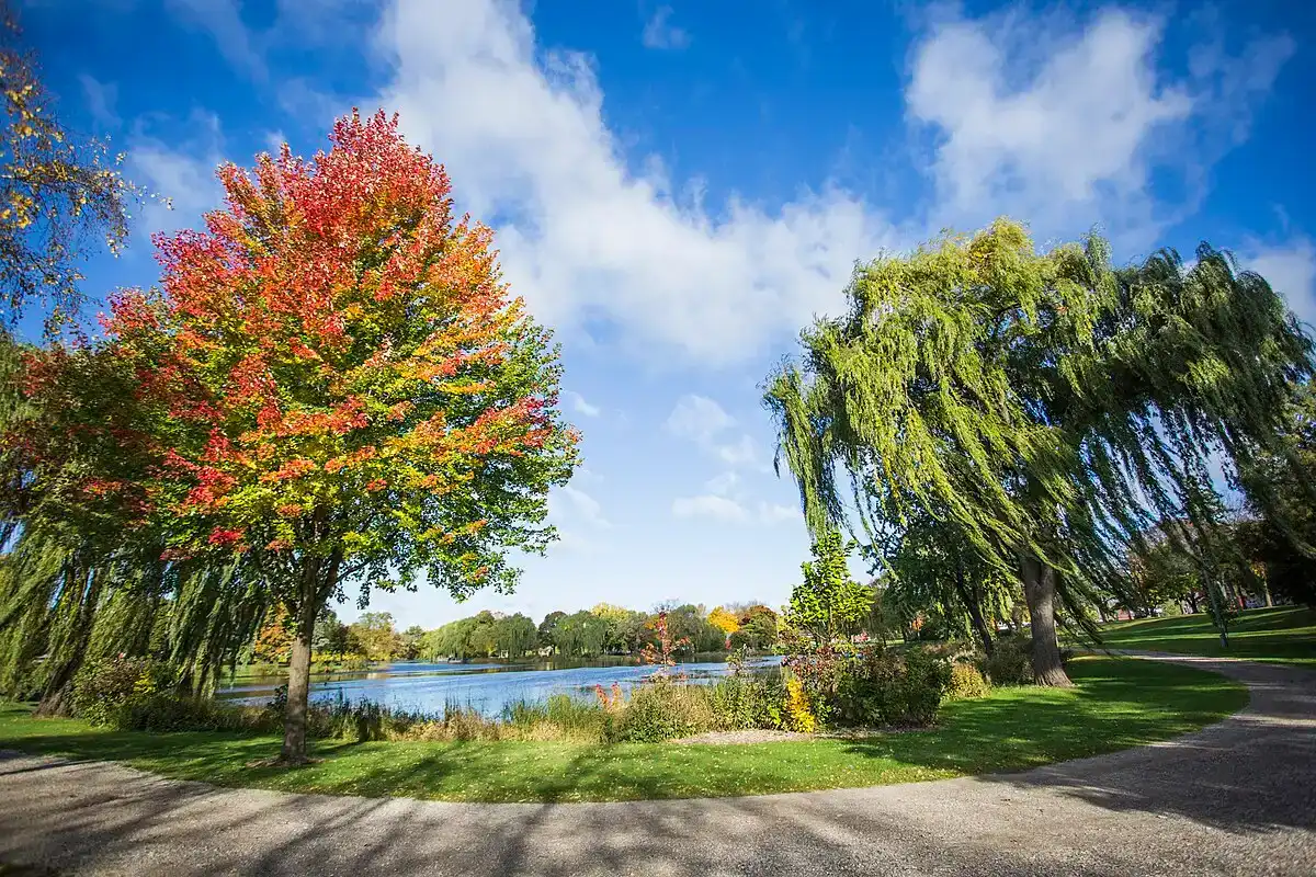 Uferpromenade: fußläufiger Parkweg (Riverside Park, NYC)